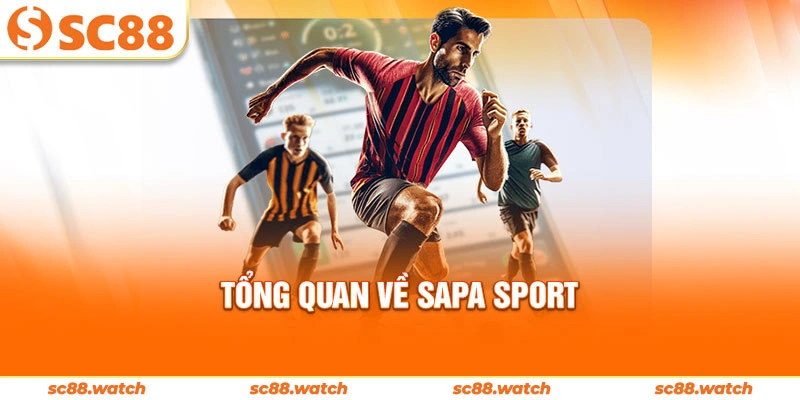 Tổng quan về Sapa sport