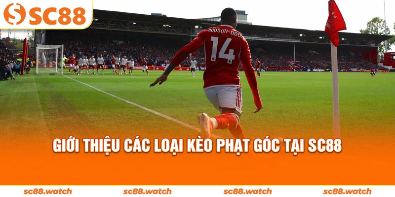 Giới thiệu các loại kèo phạt góc tại SC88